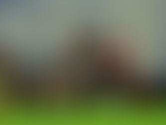 Exitoso cierre de cortina