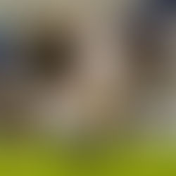 Se saboreó la victoria