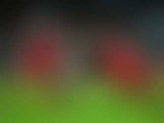 Los jaguares no levantan cabeza