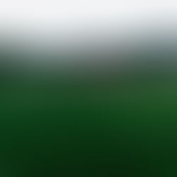 El CASI gritó fuerte