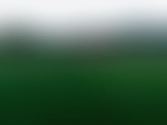 El CASI gritó fuerte