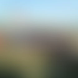 El Tano sembrado en la punta.