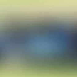 Los Pumas renuevan la ilusión