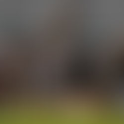 El resurgimiento de un Jaguar caído