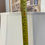 Thumbnail: LAD-005. Mid-century lamp - Lampe de mid-century