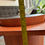 Thumbnail: 158-03. Mid-century  "Martini" Teak Coffee Table - table basse