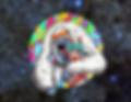 Copy of Copy of Copy of join us httpsdiscord.ggcYazY7KT for giveaways, contests and auctio
