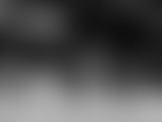 Successful start of November for our stallions