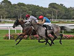 Victoire de G2 pour nos élèves
