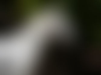 G1 1-2-3 pour Al Mourtajez