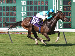 Nouveau Gagnant de Gr.1 pour Toronado