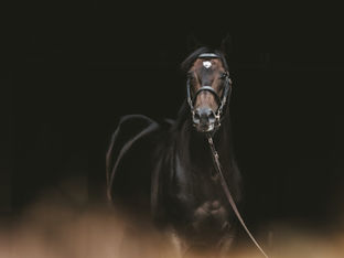 Résumé de la semaine . 21 avril