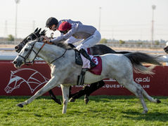 1-2 for our stallions and homebreds