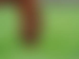 Doublé de Groupe en une journée