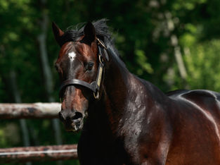 Weekly Round Up . 12th August