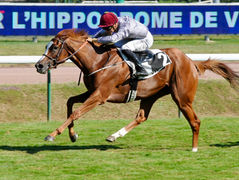 Stakes collection for our stallions