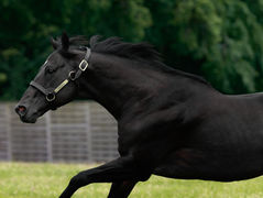 Résumé de la semaine . 10 mars