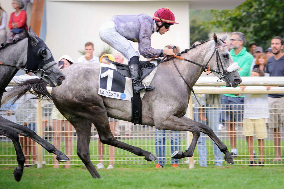 More Group success for our homebred HAJMAH