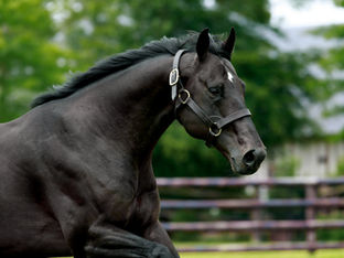 Weekly roundup . November 25th