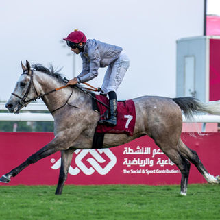 Festive evening for our homebreds