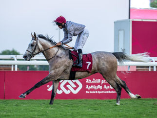 Festive evening for our homebreds