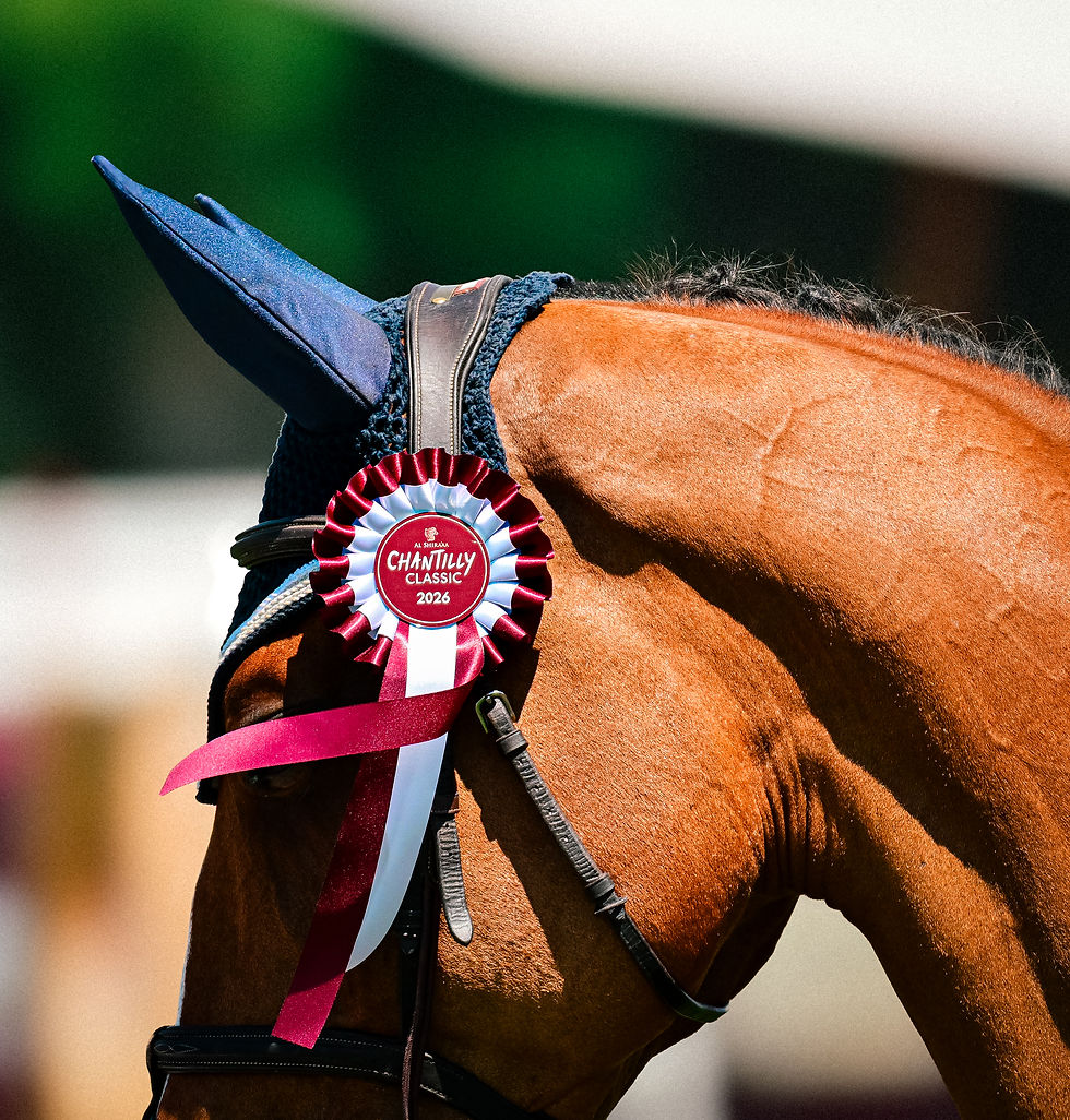 CHANTILLY 8.jpg