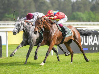 Homebred El Bnoud opens Group account