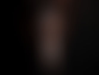 A victorious end of January for our stallions