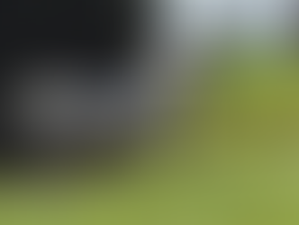 New G1 performance for Dahess