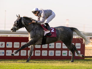 Arabians Weekly roundup . 11th November