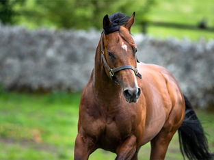 Weekly Round Up . 2nd September