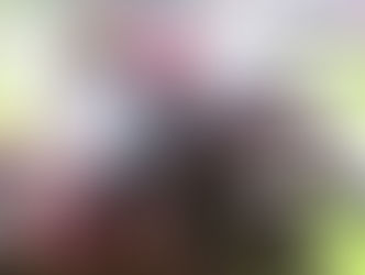 Splendid G1-PA performances on a splendid weekend