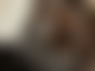 New Group success for Toronado