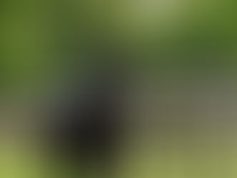 Clôturer mars victorieusement