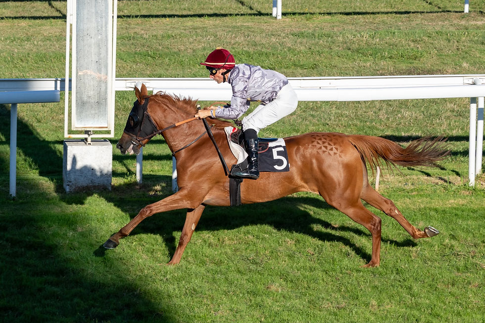 Our homebred MNEEFA opened her winning account by 3-lenghts at Bordeaux, France.