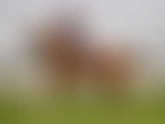 Bojdoor opens his winning account