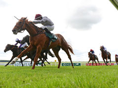 Splendid Group performances for our colors and stallions