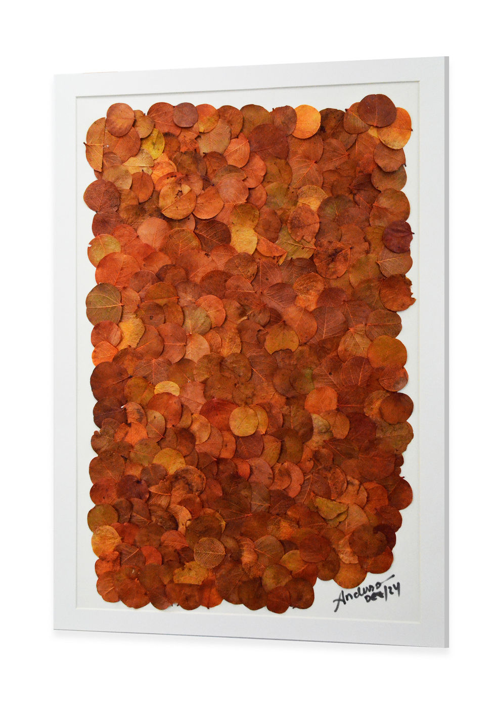 Prancheta 1 copiar 3