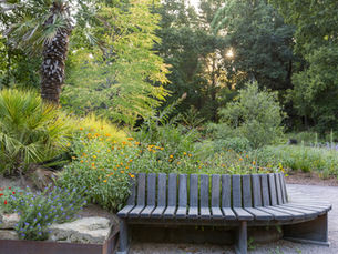 Eastern Daily Press: Grade I listed landscape gets ‘garden for the future’ in face of climate change