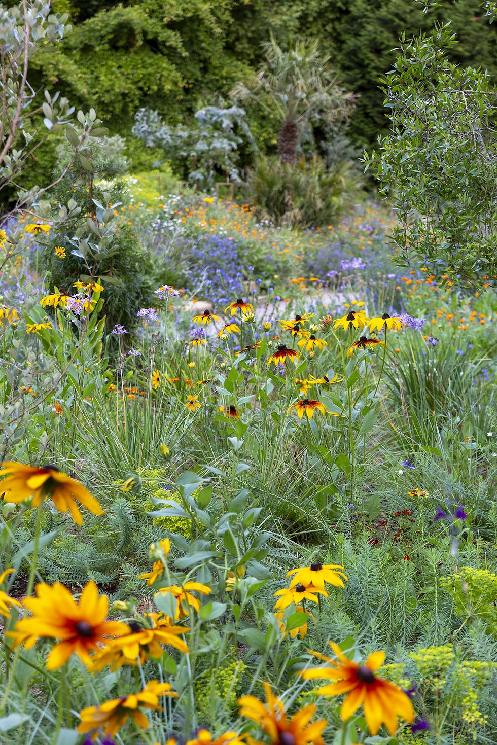 The Guardian: Turning over a new leaf: historic English gardens adapt to the changing climate