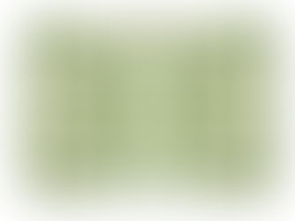 Pro Landscaper: Joe Perkins to develop climate resilient Tunisian war cemetery