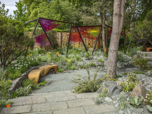 Home Building: Garden trends in 2025 include big, blousy blooms, climate-friendly planting and spaces that evoke a feeling of wellness