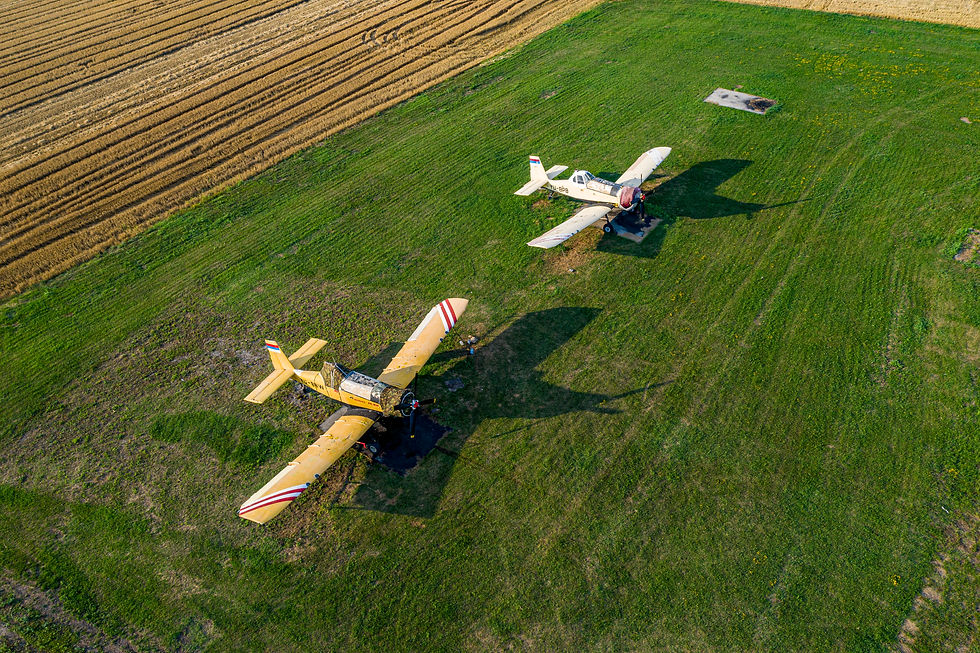 DJI_0317
