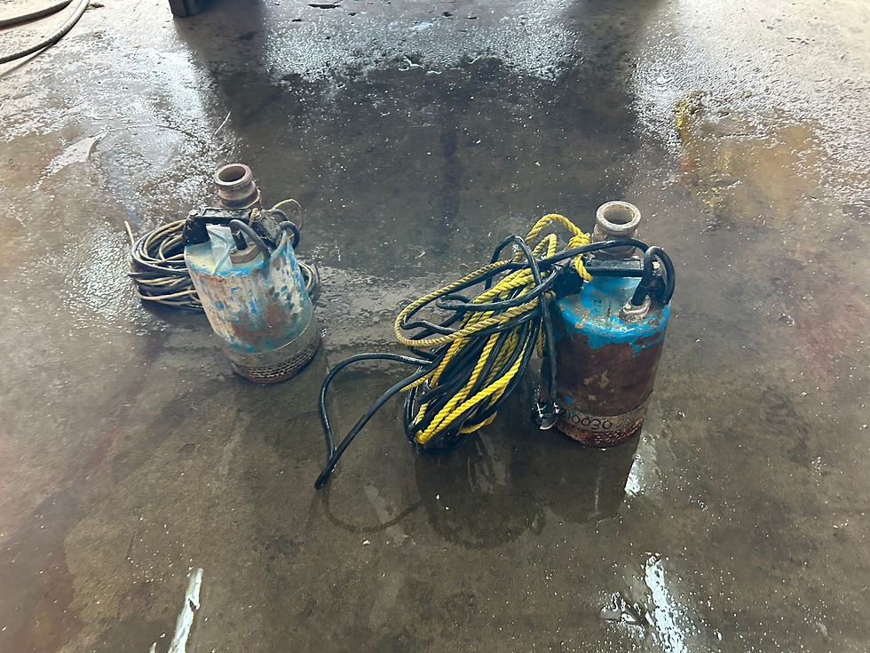 Thumbnail: Tsurumi water sump pump