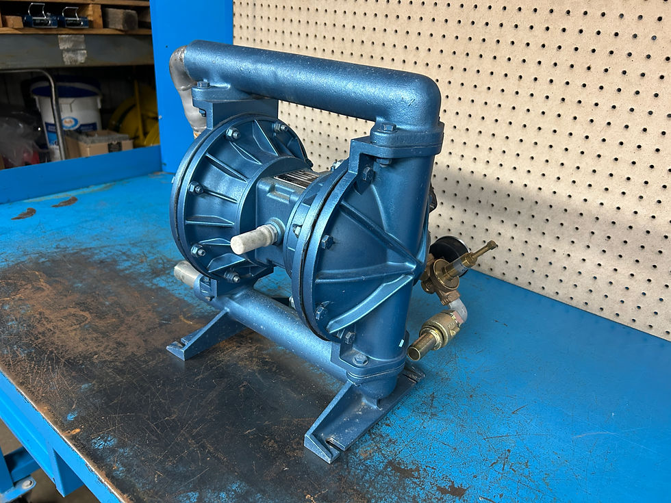 Thumbnail: BLAGDON IST B2505 Air Operated Double Diaphragm Pump