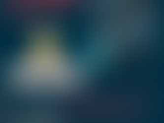 Salariul minim brut în 2020