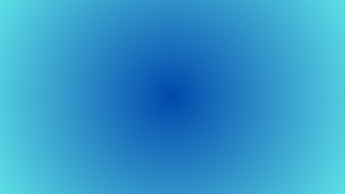 Screen Shot 2024-12-10 at 10.33.56 AM.png