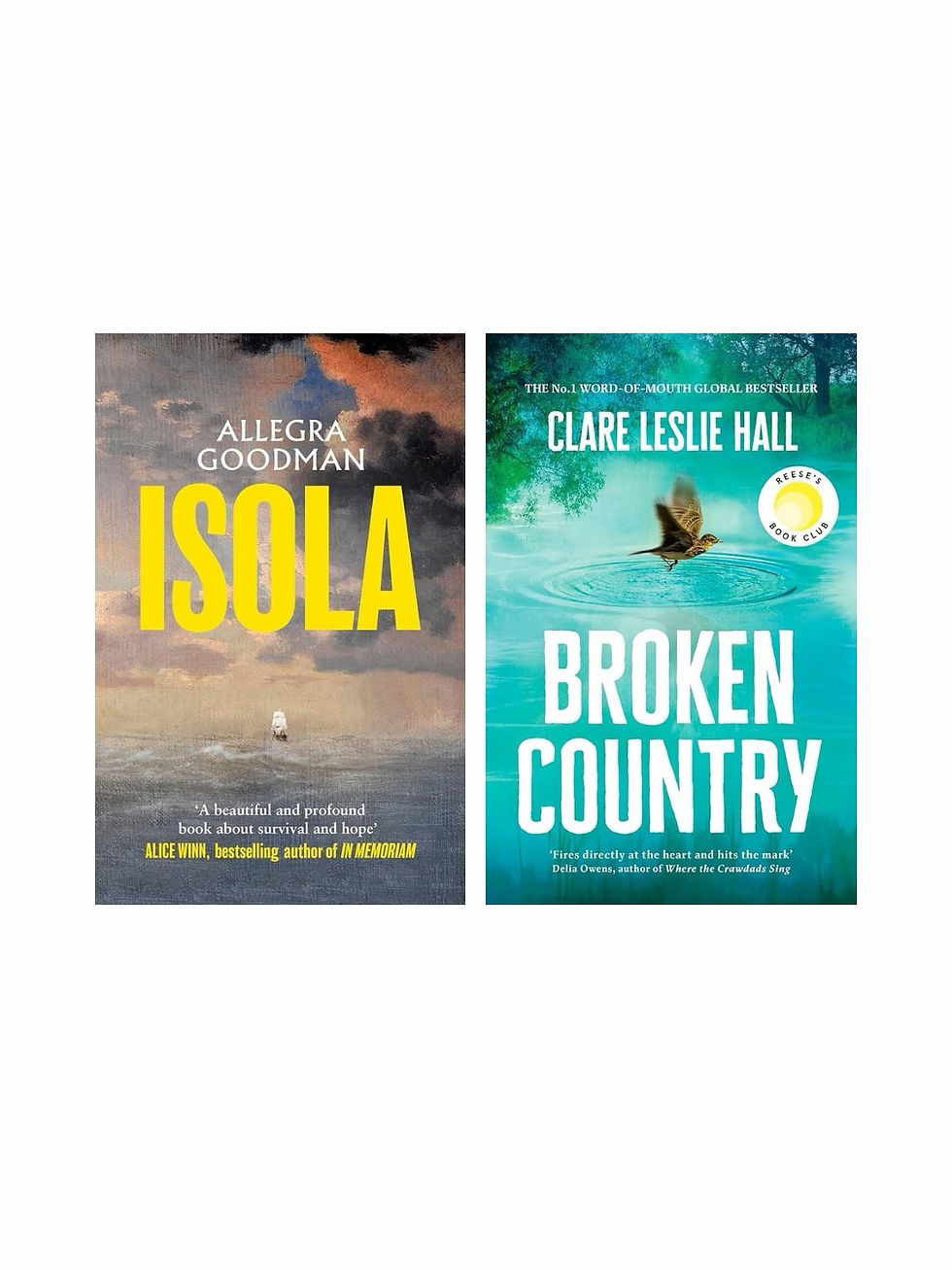 Isola by Allegra Goodman and Broken Country by Clare Leslie Hall book covers