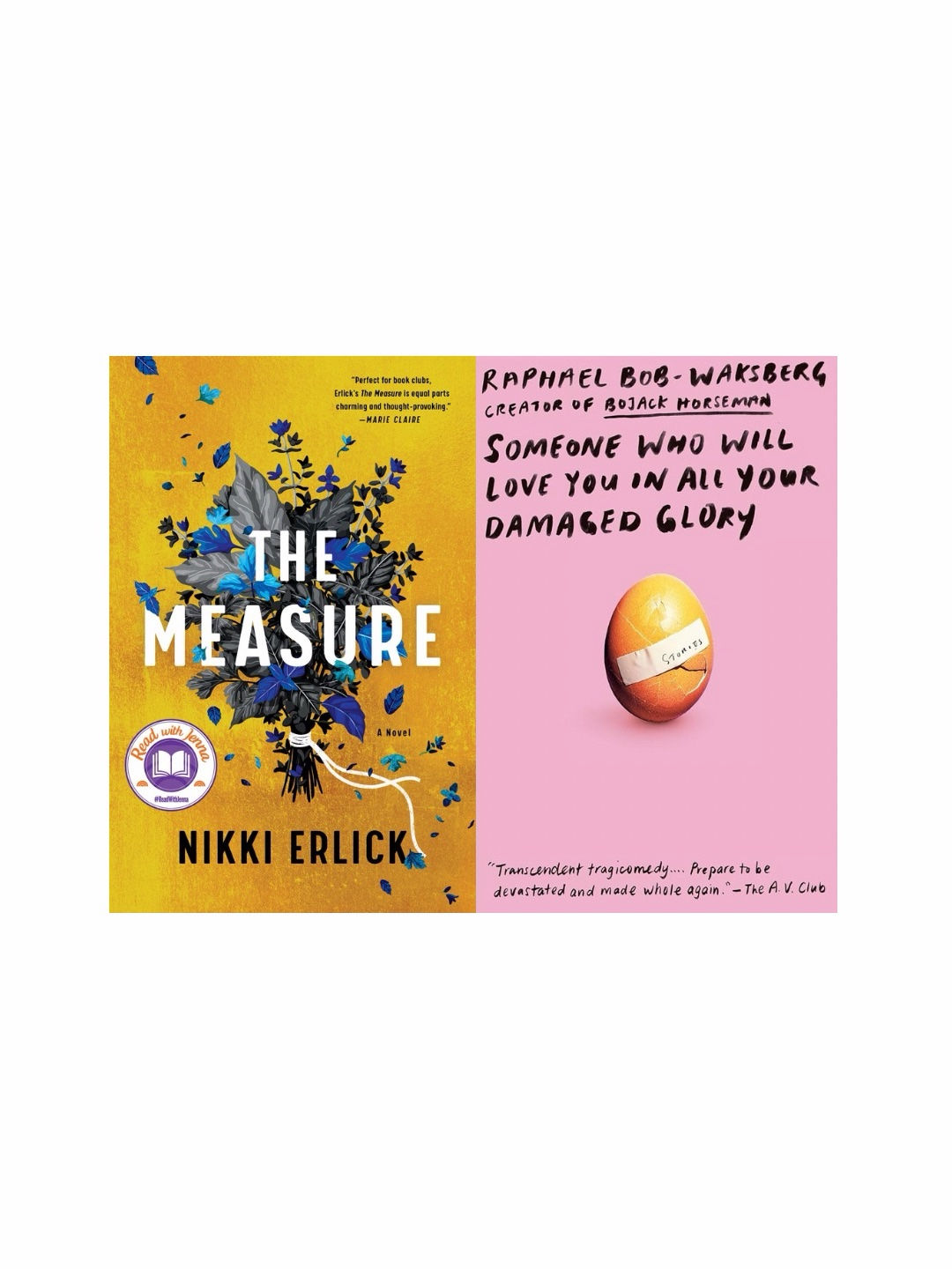 Book covers: The Measure, and Someone Who Will Love You in All Your Damaged Glory
