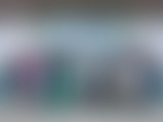 MILS Participates in the Mekong CREATES Regional Inception Workshop